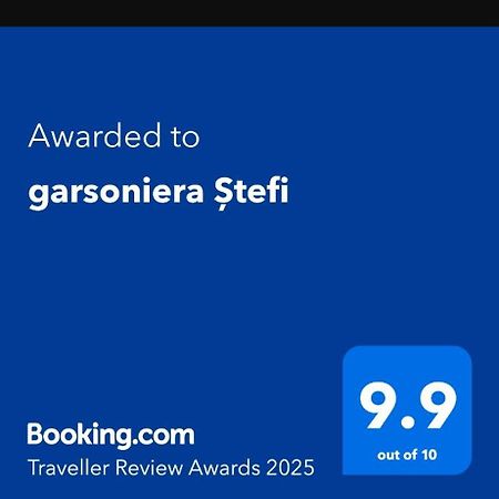 Апартаменты Garsoniera Stefi Эфорие-Суд Экстерьер фото